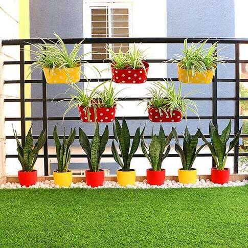 Create Greenery Around You In A Balcony With Garden Combo Plants Pack